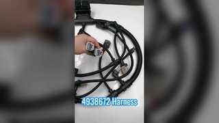 4938672 জোতা